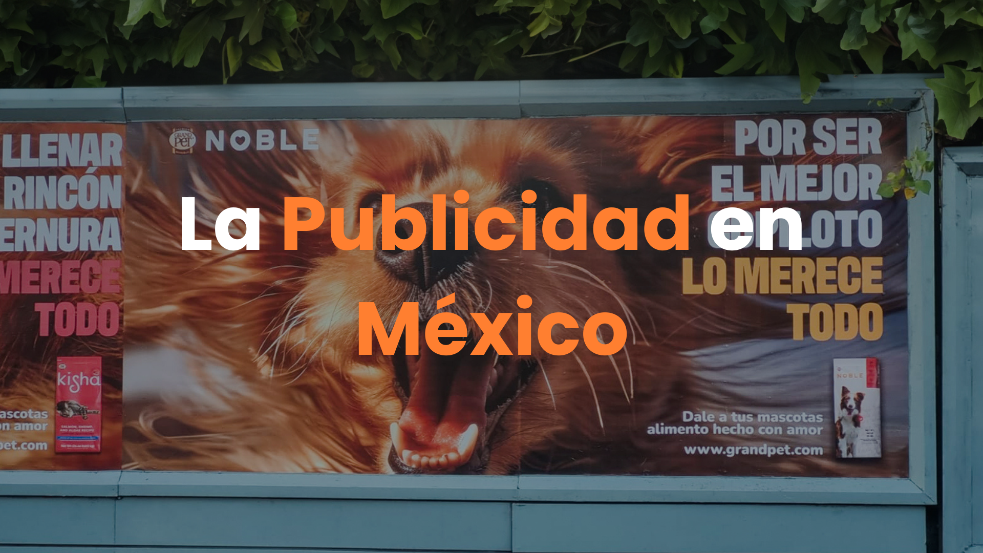 Publicidad Exterior: El Tercer Medio Publicitario Más Importante de México